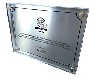 placa de homenagem personalizada + sao paulo + destak trofeu