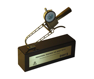 Troféu em Metal Personalizado em São Paulo